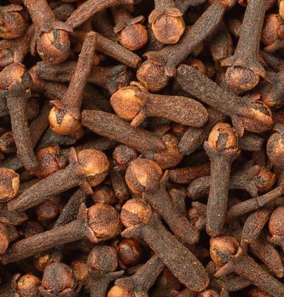 Magnet Cloves/Laung 50gm