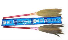 DOLPHIN BROOM