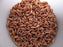 Msc WHOLE WHEAT 500GM