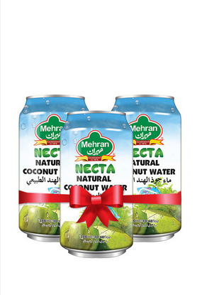 MEHRAN COCONUT WATER CAN 310ML