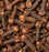 Magnet Cloves/Laung 50gm