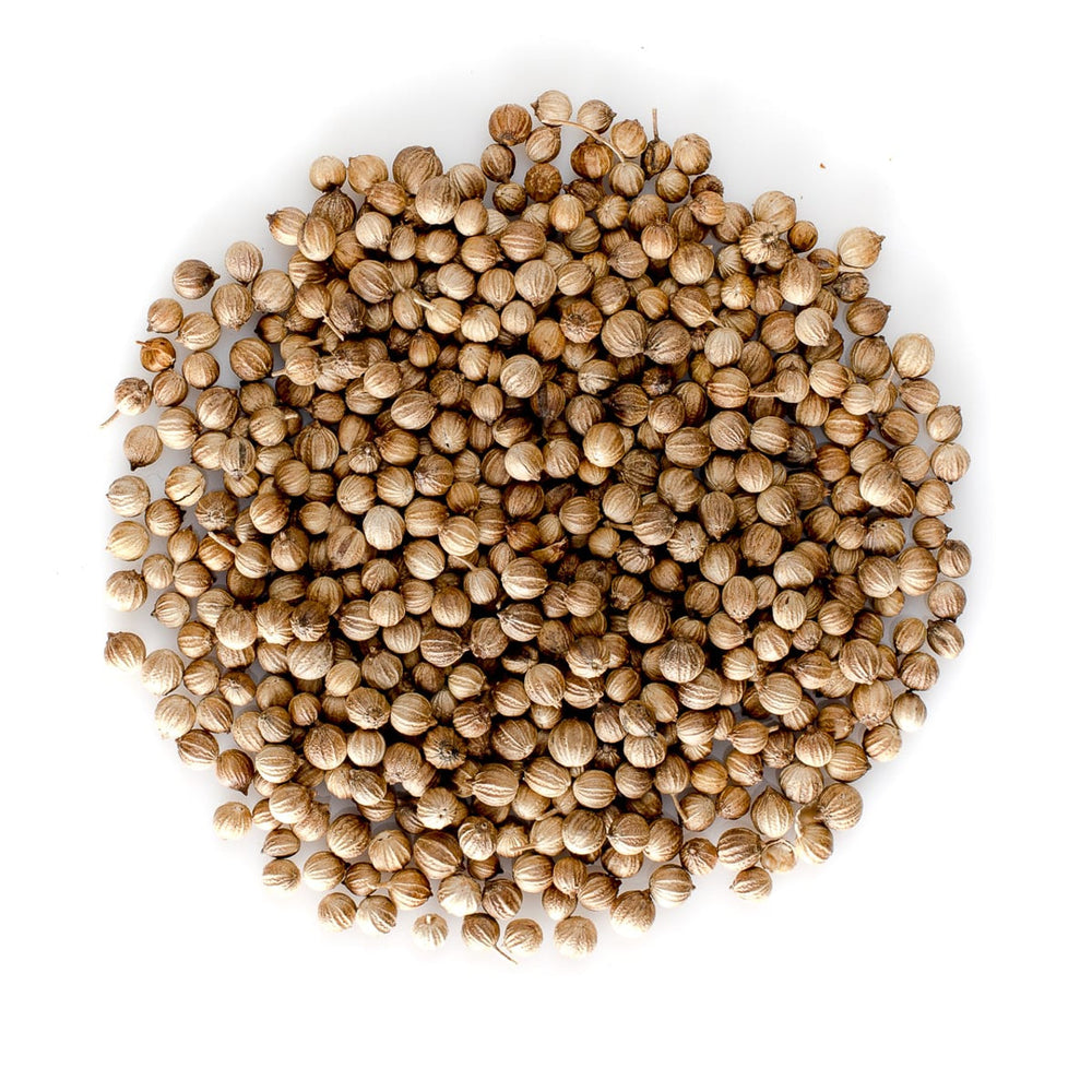 Magnet Coriander Whole 200g