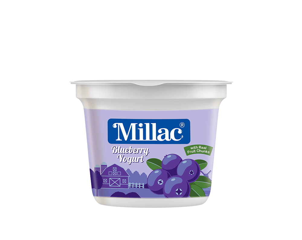MILLAC BLUEBERRY YOGURT 100GM CUP