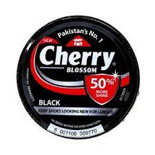 POWER PLUS SHOES POLISH 50ML